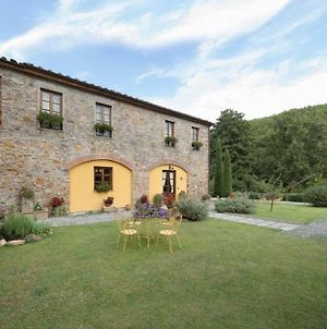 Villa Rosetta Capannori Exterior photo