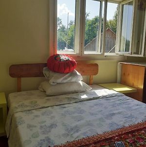Room In Guest Room - Sejour In Green Garden With Lake View For 2 People Rosia Montana Exterior photo