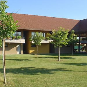 Les Loges Du Ried - Studios & Appartements Proche Europapark Marckolsheim Exterior photo