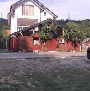 Casa Denisa Vidraru Transfgarasan Ξενοδοχείο Căpăţîneni-Ungureni Exterior photo