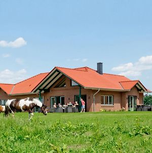 Sohrenhof - Mein Heide Landhaus Βίλα Soltau Exterior photo