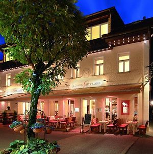 Alpin Lifestyle Hotel Lowen & Strauss Όμπερσντορφ Exterior photo
