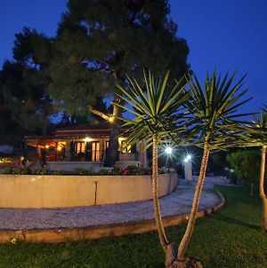 Skopelos Country House Diamantis & Chrisi Ξενοδοχείο Exterior photo