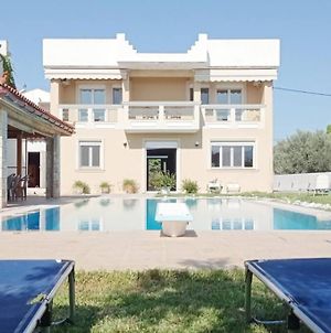 Villa Irene Evia, 4 Bdr, Pool, 500M To Beach Μαγούλα Exterior photo
