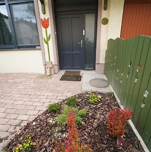 Tulip Home Guest House Vác Exterior photo