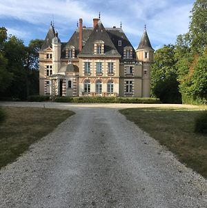 Chateau De Praslins Nogent-sur-Vernisson Exterior photo