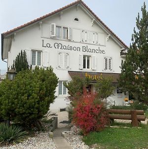 Hotel Maison Blanche Yverdon-les-Bains Exterior photo