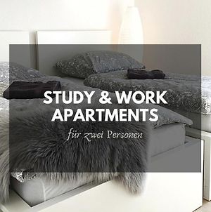 ✪ Study & Work Apartment - Andriss Apartments ✪ Καϊζερσλάουτερν Exterior photo