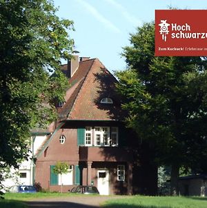 Haus Koenige Hinterzarten Exterior photo