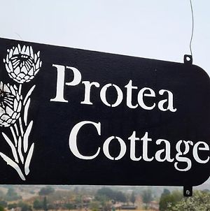 Protea Cottage Self Catering Over Night Accommodation Krugersdorp Exterior photo