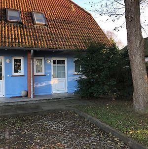 "Achtern Diek" Doppelhaushalfte Dierhagen Exterior photo