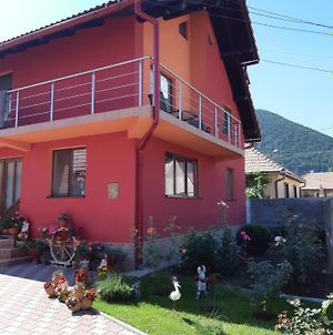 Vila Georgeta Ξενοδοχείο Zărneşti Exterior photo