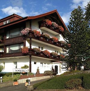 Hotel Zum Weissen Stein Kirchen  Exterior photo