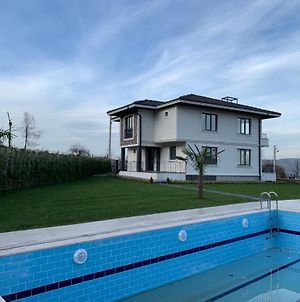 Stunning Villa With Private Pool In Peaceful Sapanca Kurtkoy  Exterior photo