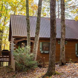 Mountain Time Cabin, Hot Tub, Fire Pit, Fireplace Βίλα Blue Ridge Exterior photo