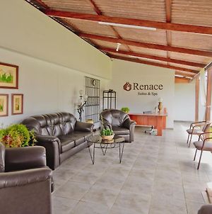 Renace Suites & Spa Τάκνα Exterior photo
