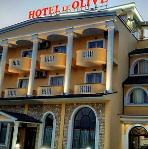 Hotel Le Olive Ελβασάν Exterior photo