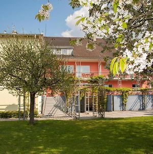 Hotel Villa Martino - Zum Hirsch Bad Säckingen Exterior photo
