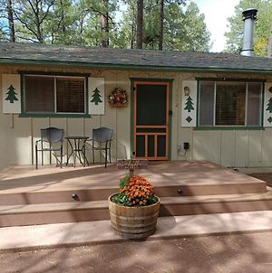 Adair Springs Cabin Βίλα Pinetop-Lakeside Exterior photo
