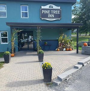 Pine Tree Inn Μπάνγκορ Exterior photo