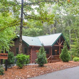 Dog-Friendly Getaway With King Suites And Hot Tub! Blue Ridge Exterior photo