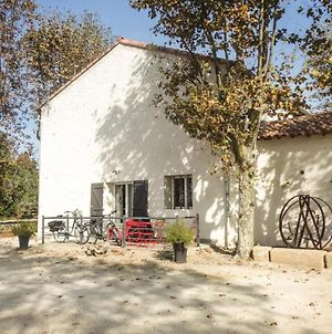 Awesome Home In Narbonne With 2 Bedrooms, Wifi And Sauna Exterior photo