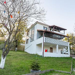 Pleasant Villa Surrounded By Nature With Refreshing View In Sapanca Επαρχία Σαγγάριου Exterior photo