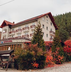 Vila Briana Ξενοδοχείο Păltiniş Exterior photo