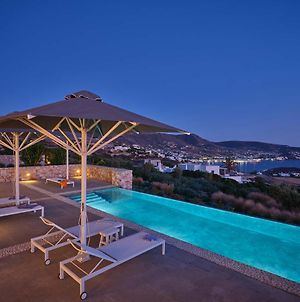 Delium Viu Villa With Infinity Pool & Sunset View Πάρος Exterior photo