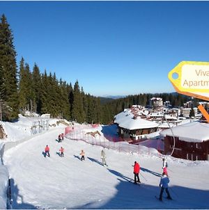 Viva 5 Apartment Grand Monastery On The Ski Slopes Παμπόροβο Exterior photo