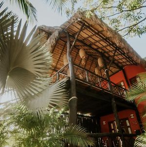 Coco Hacienda Tulum (Adults Only) Ξενοδοχείο Exterior photo