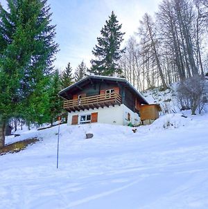 Holiday Home Chalet Ninette Eischoll Exterior photo