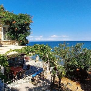 Pilion-Unique House At The Aegean Sea Βίλα Κεραμίδι Exterior photo