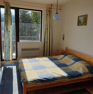 Snejeanka Διαμέρισμα Παμπόροβο Exterior photo