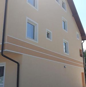 Vila Gajovic Διαμέρισμα Pale Exterior photo