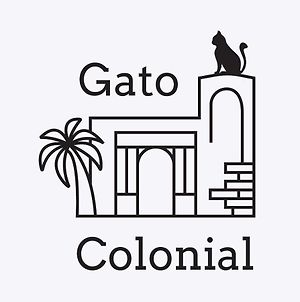 Hostal Gato Colonial Σάντο Ντομίγκο Exterior photo