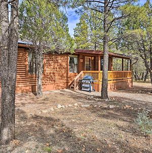 Happy Jack Cabin With 2 Decks, Grill, Wooded Views Βίλα Exterior photo