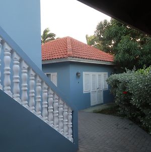 Cattleya Apartments Curacao Βίλλεμσταντ Exterior photo