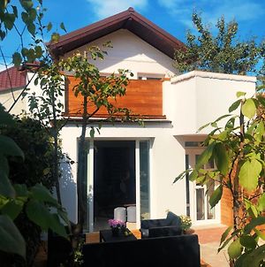 Casa Scheiana Bed and Breakfast Μπρασόβ Exterior photo