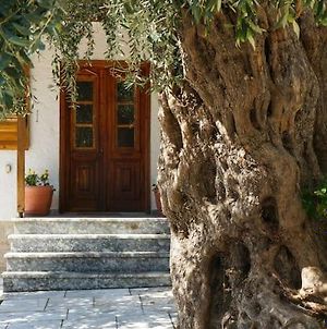 Villa Old Olive Tree Agios Georgios  Exterior photo