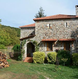 Country Stone House ,Next To Kalavrita Βίλα Exterior photo