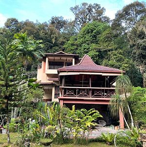 Purimai Jungle House In The Heart Of Kuala Lumpur Βίλα Exterior photo