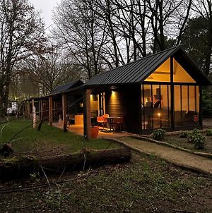 Tiny Lodges & Prive-Chalets In De Brabantse Natuur Diessen Exterior photo