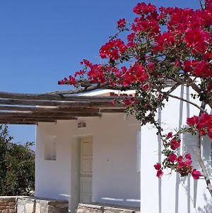 Ios Traditional House-Cozy Summer Retreat Αγία Θεοδότη Exterior photo