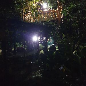 Tree Top Glamping Dusun Anum Ξενοδοχείο Kulim Exterior photo