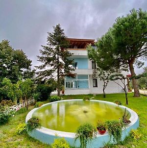 Splendid And Peaceful Chalet With Nature View In Iznik, Bursa Βίλα Esadiye Exterior photo