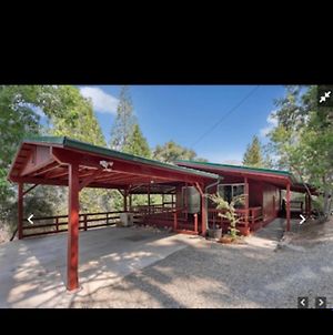 Apple Belle Cabin Mountain Escape Βίλα Oakhurst Exterior photo