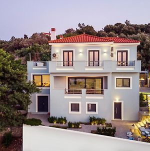 Villa Tania Samos Samos Island Exterior photo