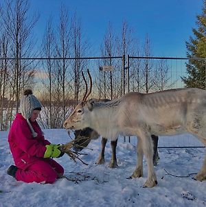Beautiful Rural Experience With Reindeer Βίλα Tervola Exterior photo