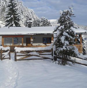 Cozy Chalet In Niederndorf Bei Kufstein Near Ski Area Βίλα Niederndorferberg Exterior photo